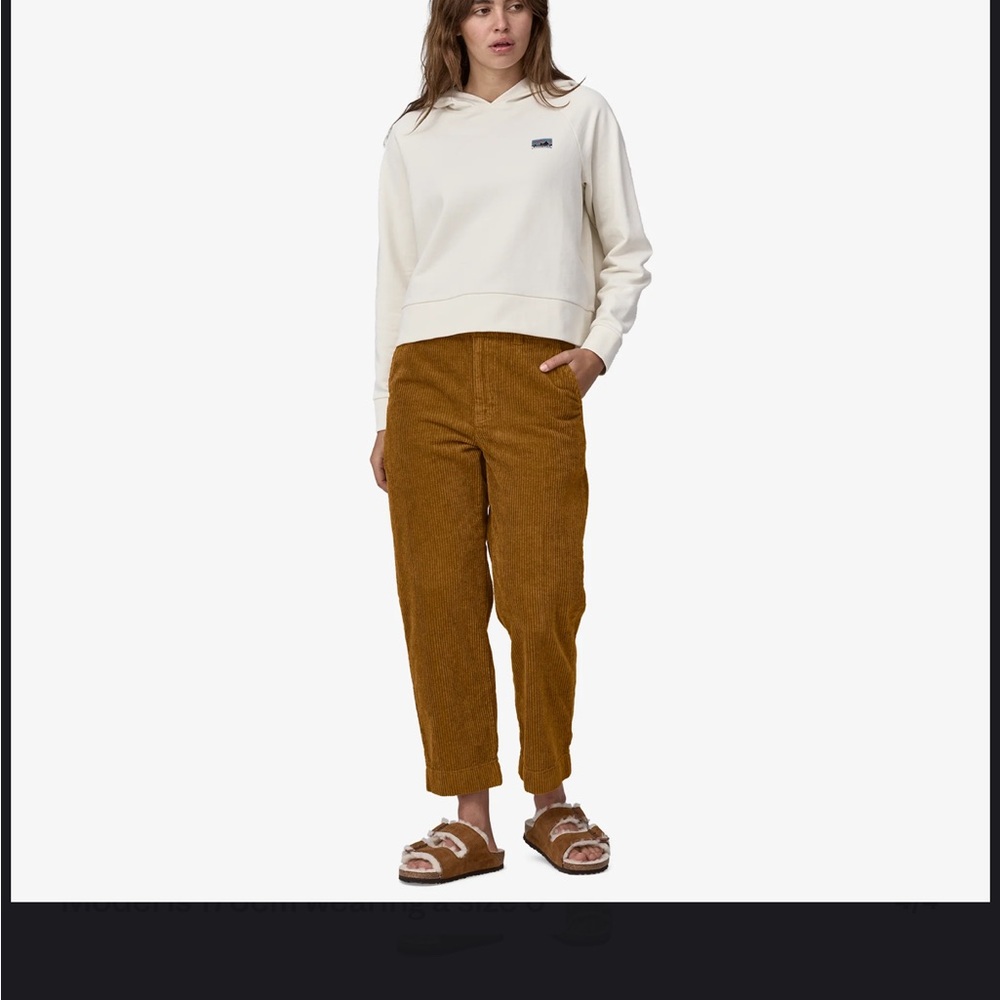 Patagonia Wide-Wale Corduroy Pants in Shelter Brown
